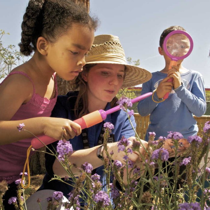 Vanessa Vobis shows children plants in the garden