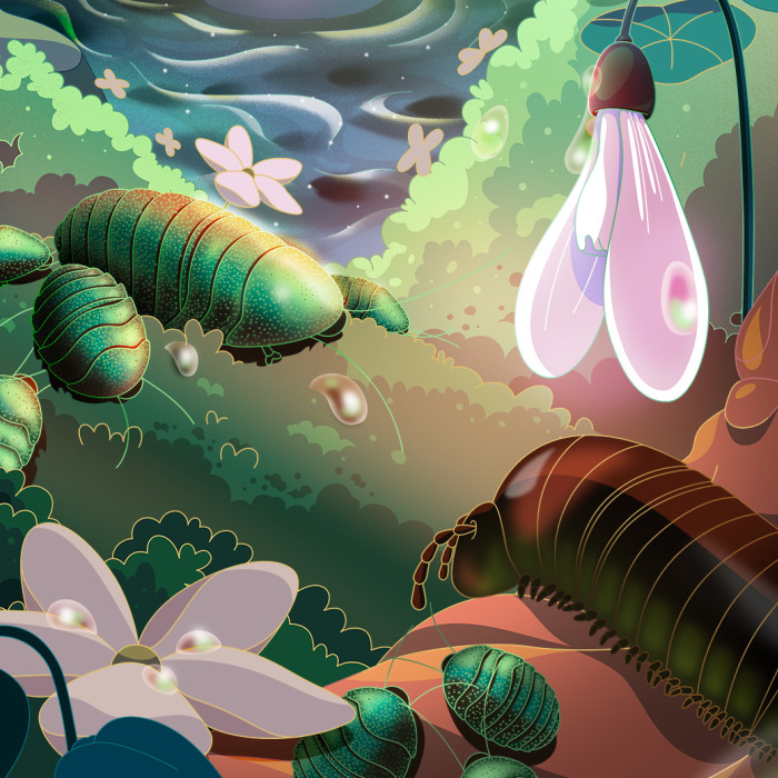 Bug Fair 2023
