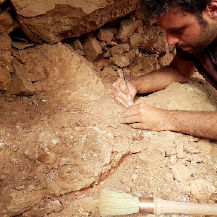 Image of Dr. Matteo Fabbri excavating fossils.