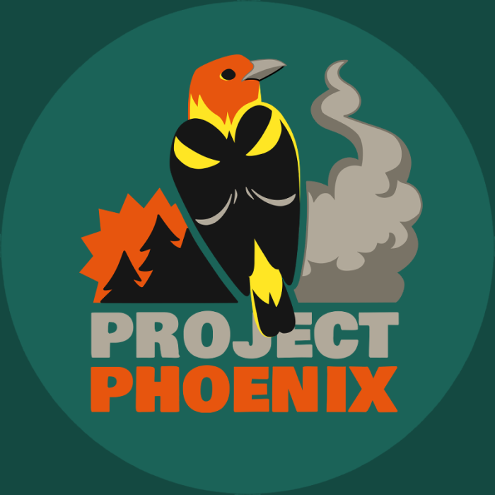 Project Phoenix Icon Green