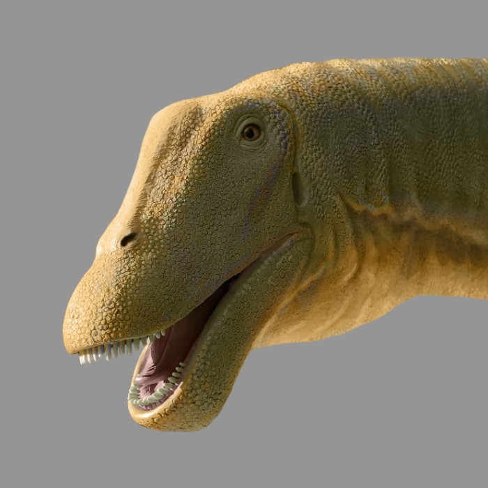 Gnatalie the Green Dinosaur: From Ground to Mount