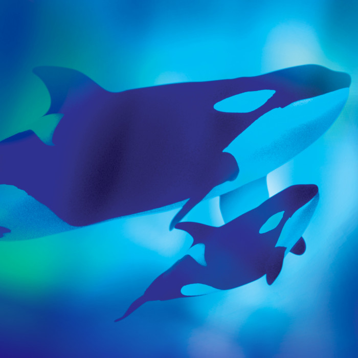 Art for Orcas Welcome Day