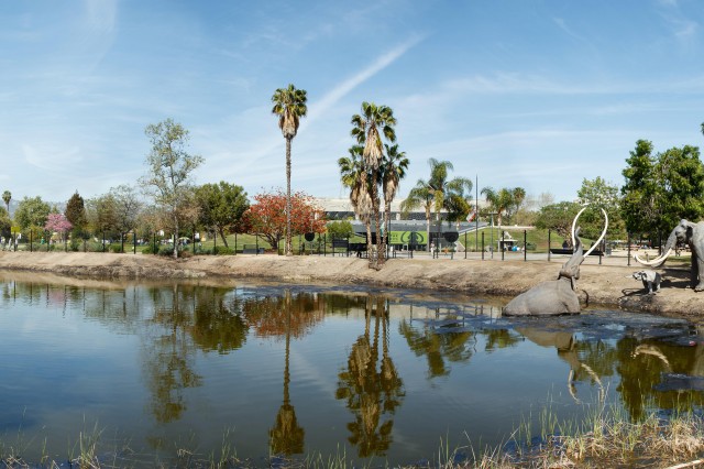 La Brea Tar Pits and Hancock Park