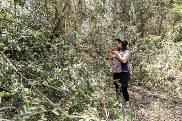 woman among trees for community science