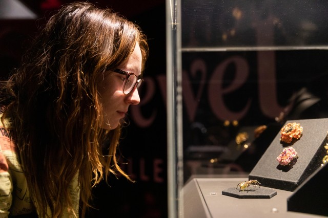 woman in gem vault