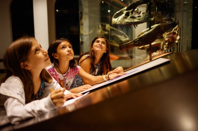 Three children looking at dinosaur skull 