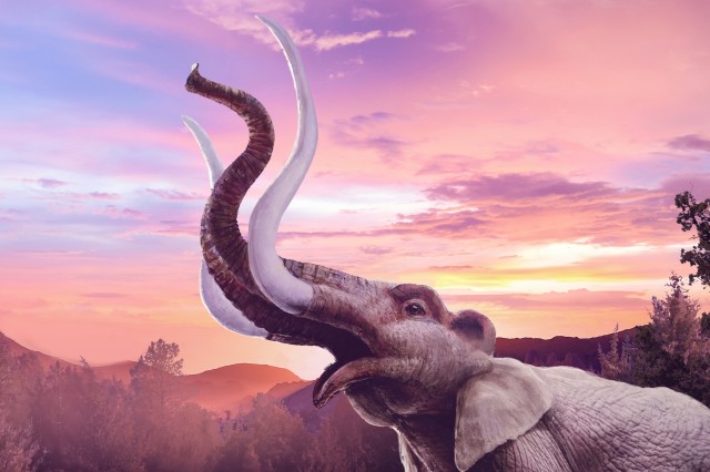 Mammoth and Mastodons hero image