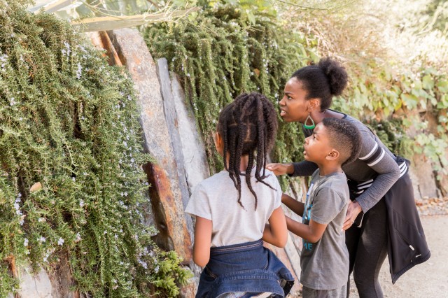 Family looks closely at the Living Wall