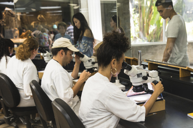 field school students using microscopes in the fossil lab tar pits
