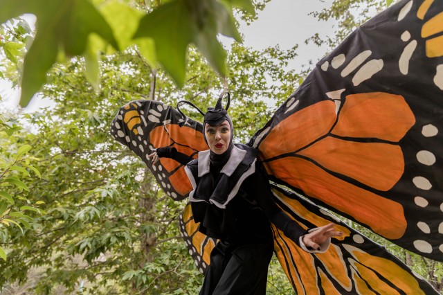 Butterfly Costume at Bug Fair Festival