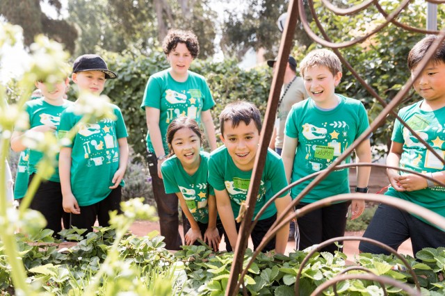 adventures in nature kids nature gardens edible garden