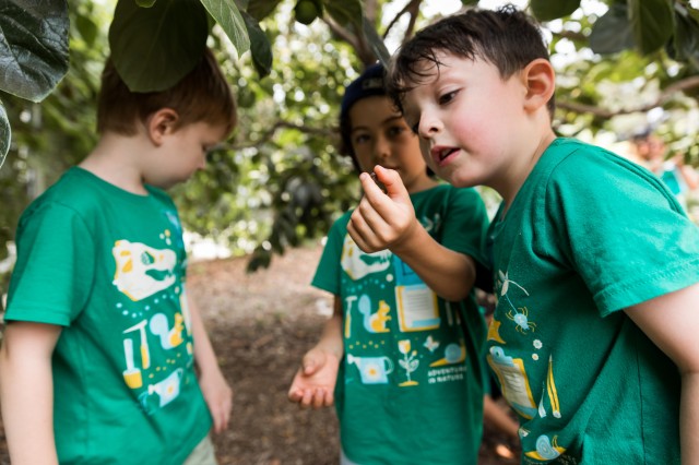 A group of children making an observation as part of Aventures in Nature summer day camp