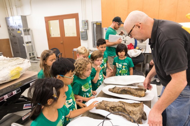 adventures in nature kids fossils paleo quest 