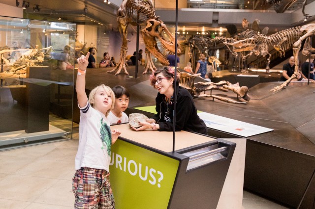 nhm dino