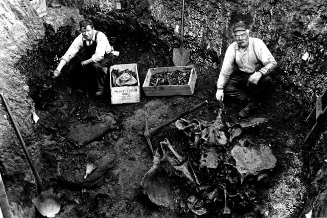 black and white image of early la brea tar pits excavation