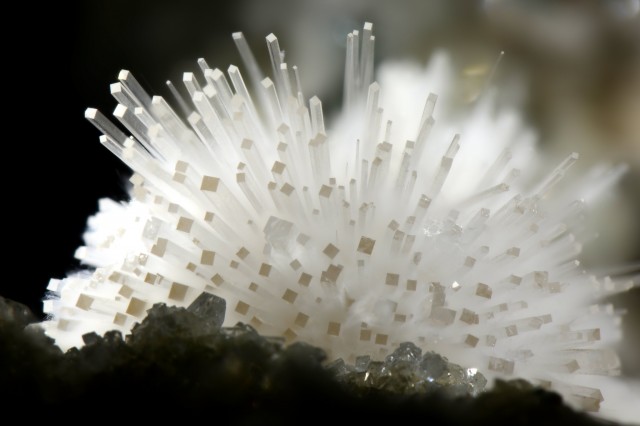 Gypsum Crystals: Mineral Ships for Alien Life? | Natural History
