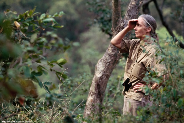 Jane Goodall making an observation outdoors