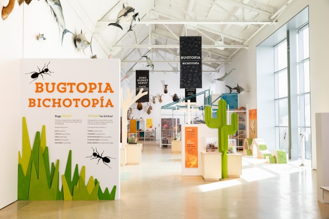 Bugtopia exhibit view