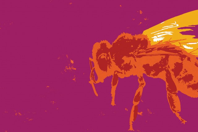 Bee with color effect on magenta background