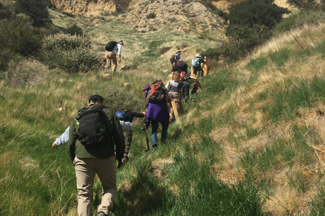 Great Shark Hunt hike in