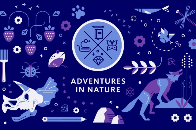 blue background with icons of coyote, triceratops skull, berries, etc. Text says Adventures in Nature
