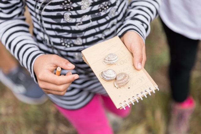 A child holds a small notebook with shells on top and a pencil.