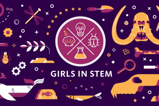 Girls in Stem text with a variety of icons in purple, yellow, and pink