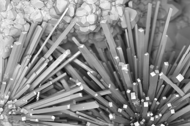 A black and white image of spiky mineral structures.