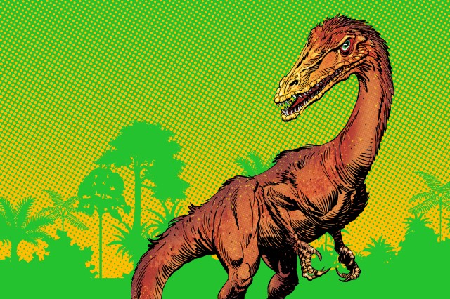 Dino Fest 2023 art - Coelophysis