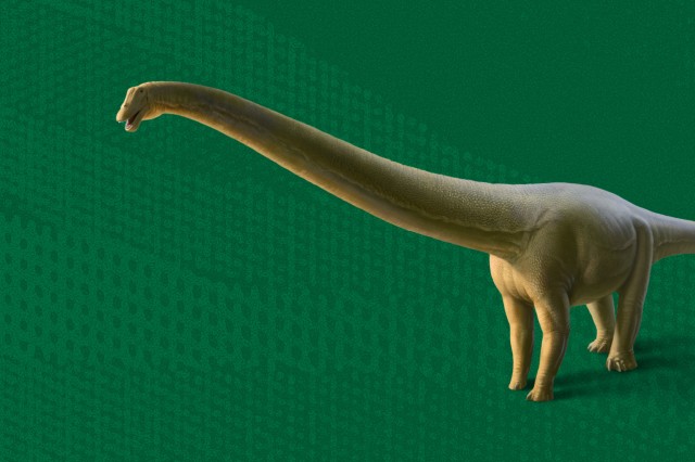 Long-necked green dinosaur on green background