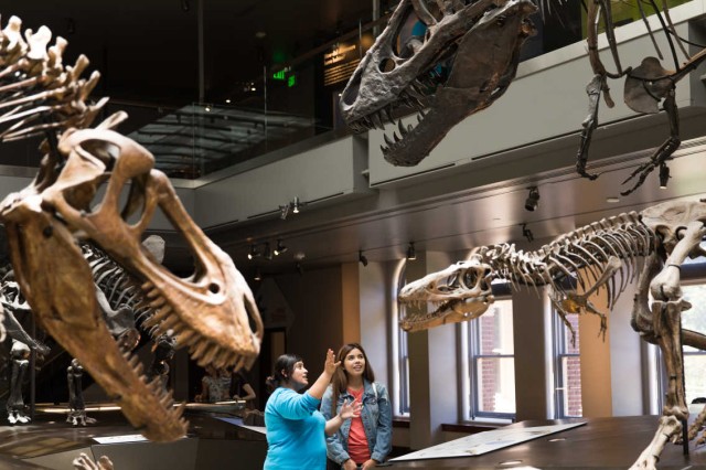 Museum Educator talking to a guest and gesturing towards dinosaur skeletons