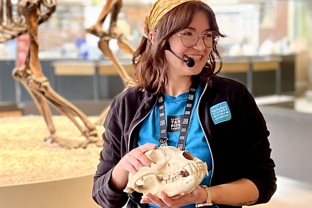 Museum Educator wearing a headset with a microphone and holding a skull.