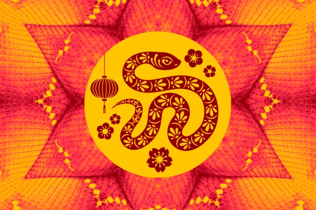 Lunar New Year - Year of the Snake image