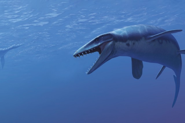 Plotosaur Mosasaur swimming in blue purple water