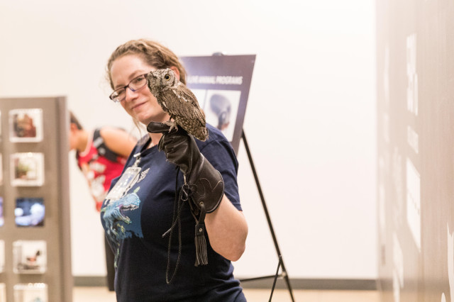 Leslie Gordon with an one-eyed owl perched on her gloved hand