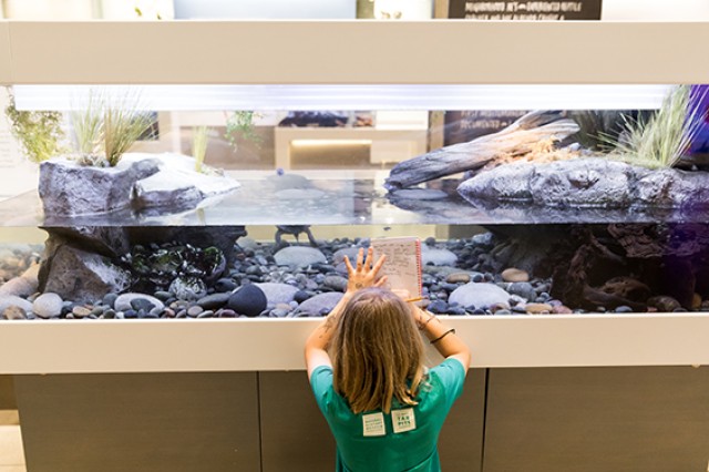 Child facing and holding a notebook up against a fish tank