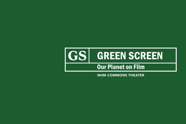 Green Screen in white text inside a white box on green background