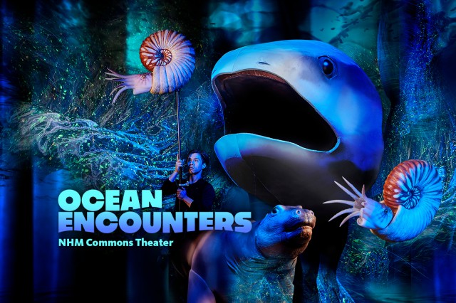 Ocean Encounters Live Puppet Show Showcasing Ocean Creatures and a Puppeteer 