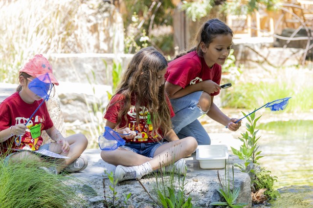 Children holding small blue nets while crouching by a pond