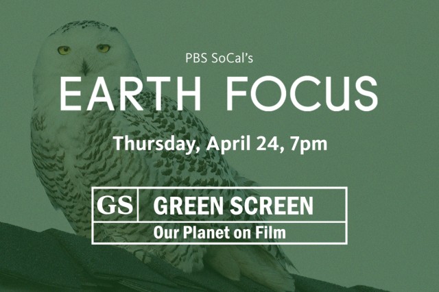 Earth Focus in white capital letters on green background