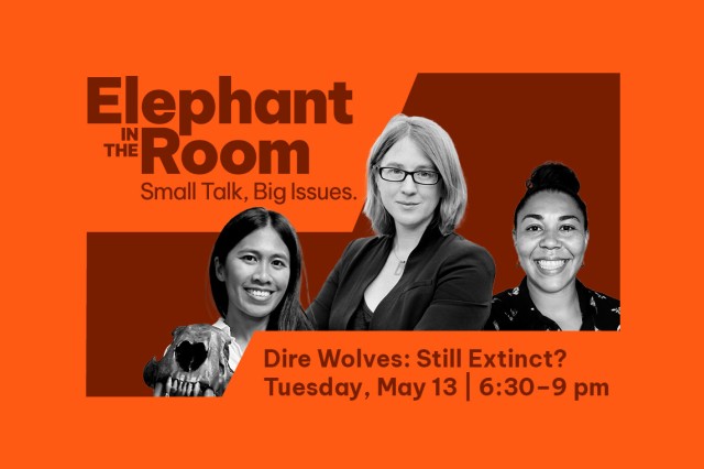 Elephant in the Room Discussion with Three Female Participants for the &quot;Dire Wolf: Still Extinct&quot; event