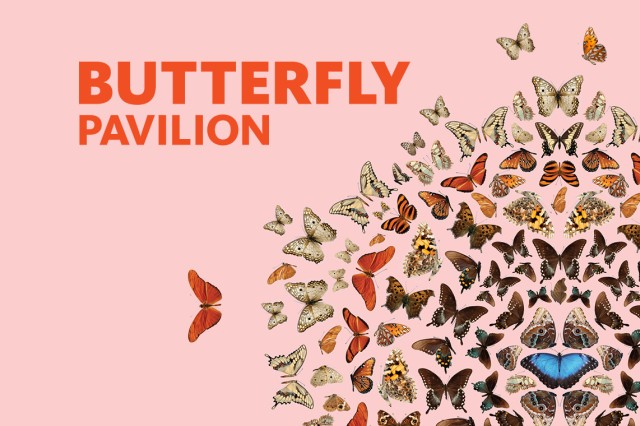 Butterfly Pavilion red text on pink background with a collage of butterflies