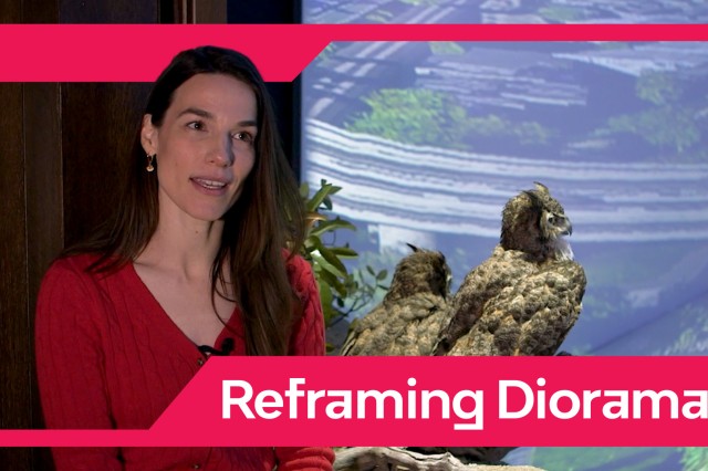Pink border with Reframing Dioramas in white text around a head and shoulders portrait of Lauren Schoth, with a diorama in the background