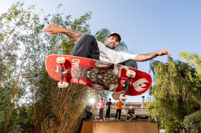 View from below of a bearded man in a baseball cap, white t-shirt and grey pants, skateboarding in midair at the edge of a skate ramp with five other skateboarders watching him from the other side of the ramp.