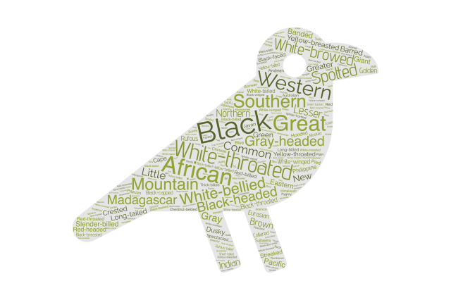 Silhouette of a bird filled with descriptive words