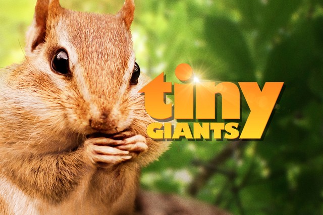 Brown and white striped chipmunk holding hands to its mouth against a blurry green background