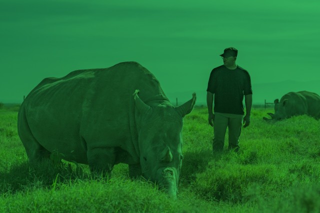 Rhinoceros next to a man wearing a black hat and t-shirt in a field with a green tinted overlay
