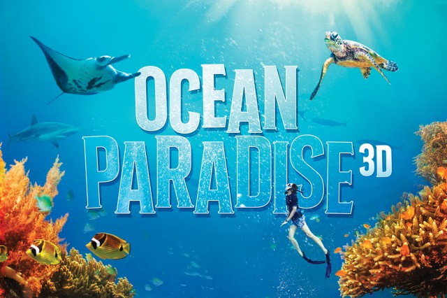 Ocean Paradise in white and blue against a blue ocean background with turtles, fish, and coral