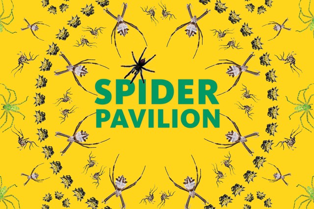 Concentric circles of spiders around Spider Pavilion in capital green letters