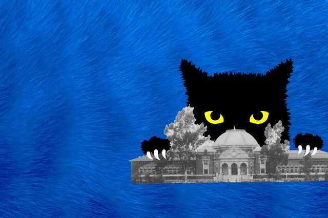 Black cat with yellow eyes peeking out from behind a gray brick building with a central dome, against a furry blue background